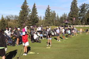 temp alt for theme iandt