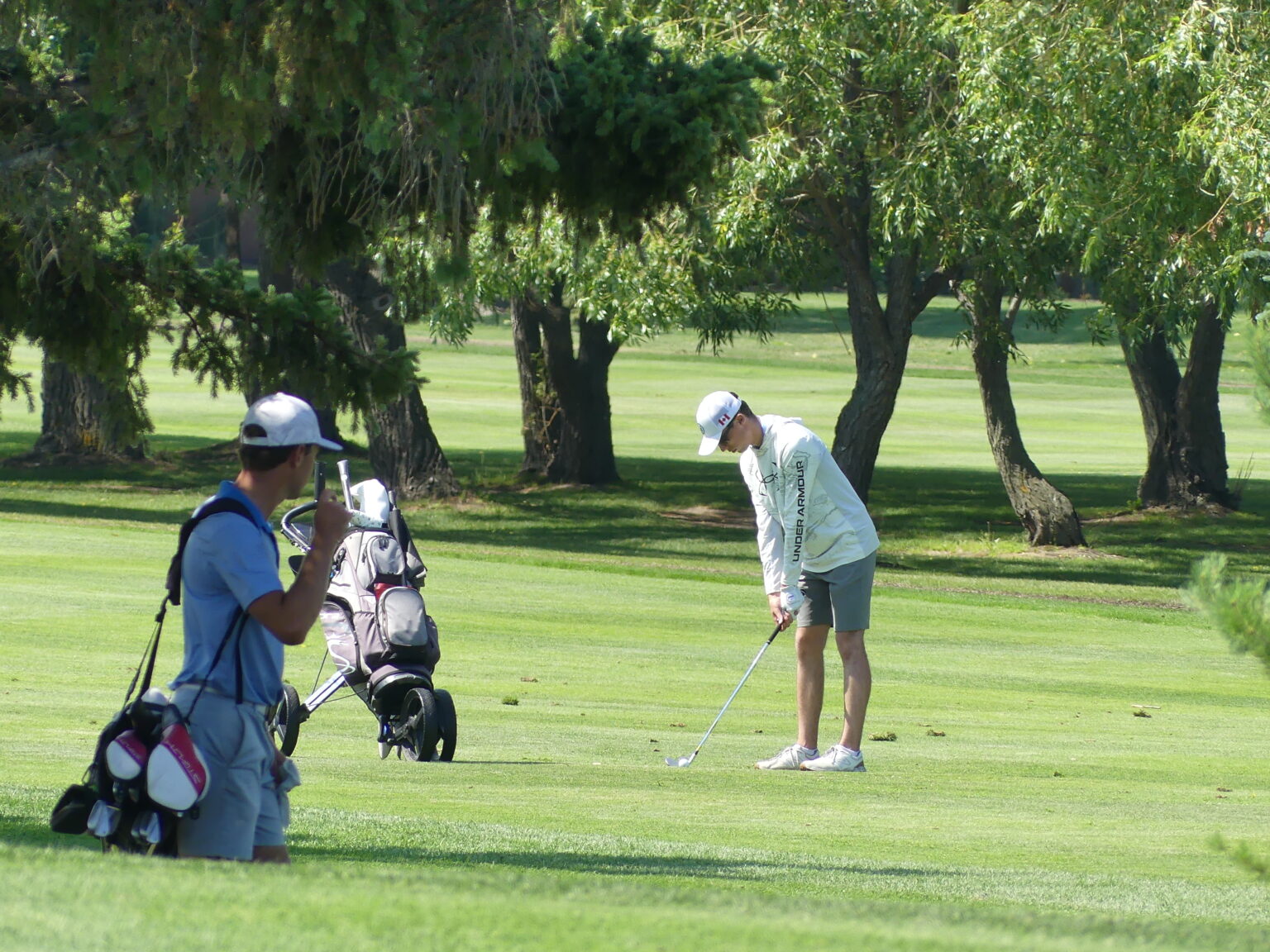 Player Development - Alberta Golf