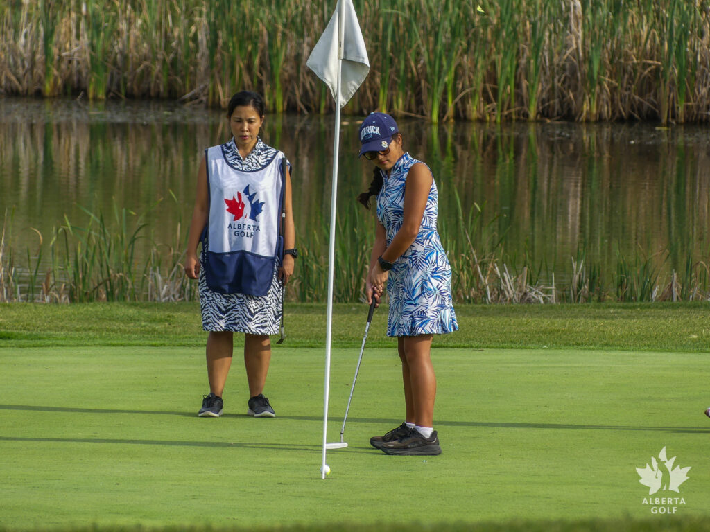 temp alt from theme latest posts