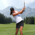 temp alt for theme list items