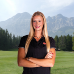 temp alt for theme list items