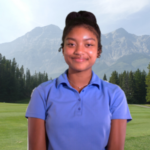 temp alt for theme list items