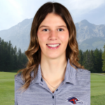 temp alt for theme list items