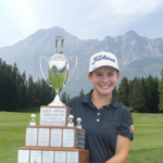 temp alt for theme list items