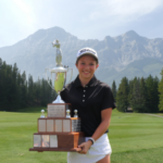 temp alt for theme list items