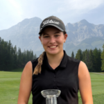 temp alt for theme list items