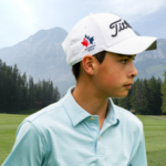 temp alt for theme list items