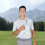 temp alt for theme list items