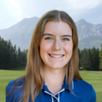 temp alt for theme list items