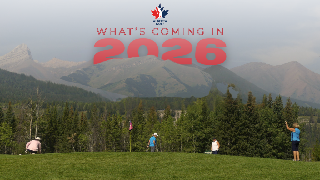 temp alt from theme latest posts