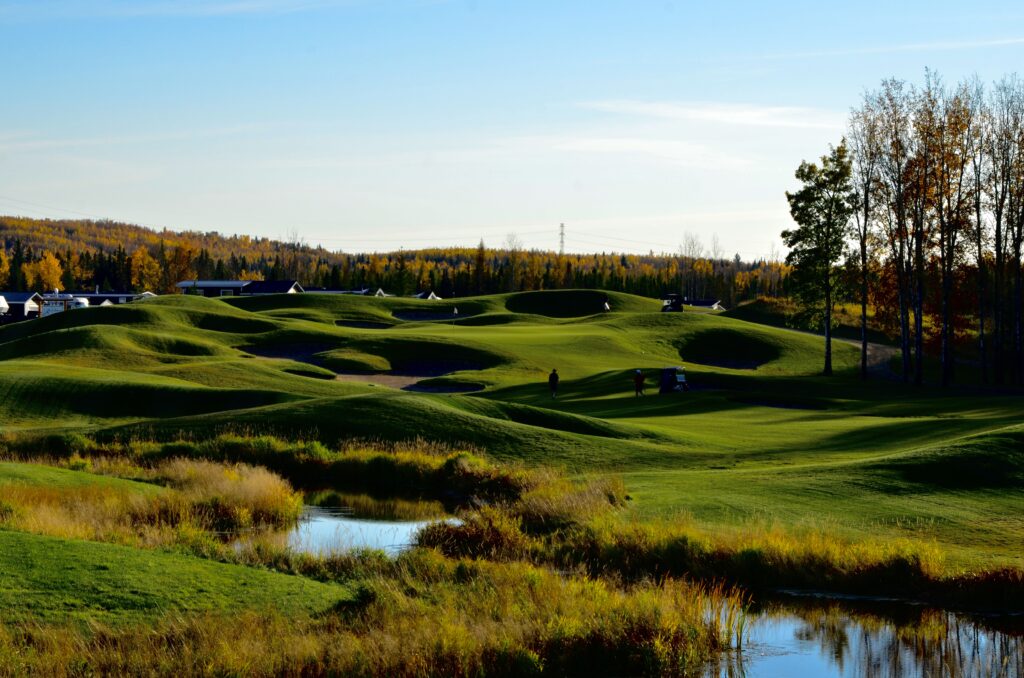 temp alt from theme latest posts