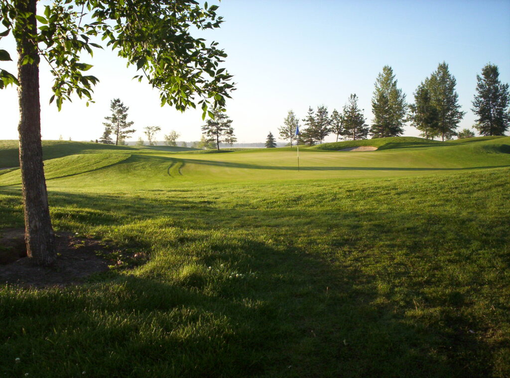 temp alt from theme latest posts