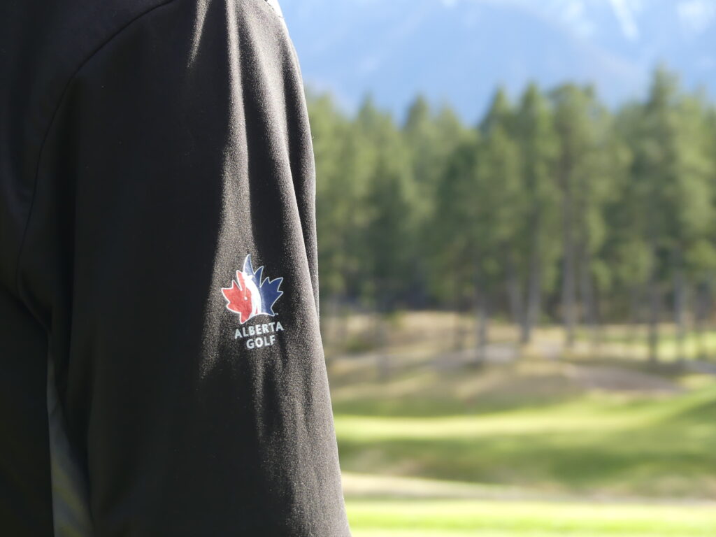 temp alt from theme latest posts