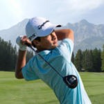 temp alt for theme list items