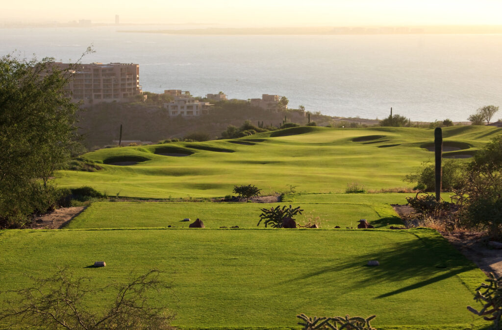 temp alt from theme latest posts