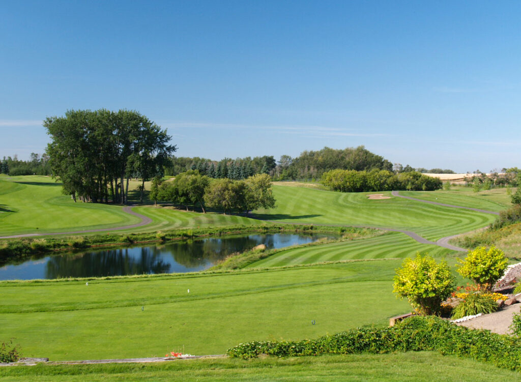 temp alt from theme latest posts