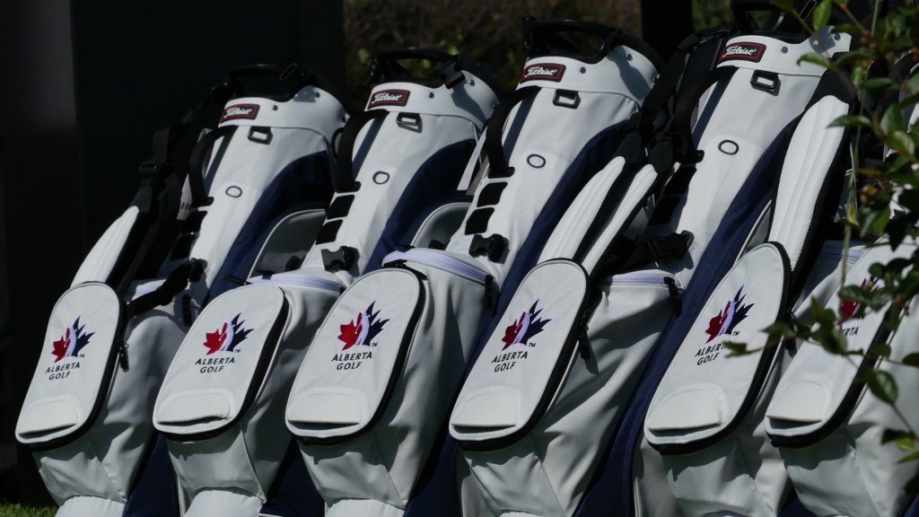 temp alt from theme latest posts