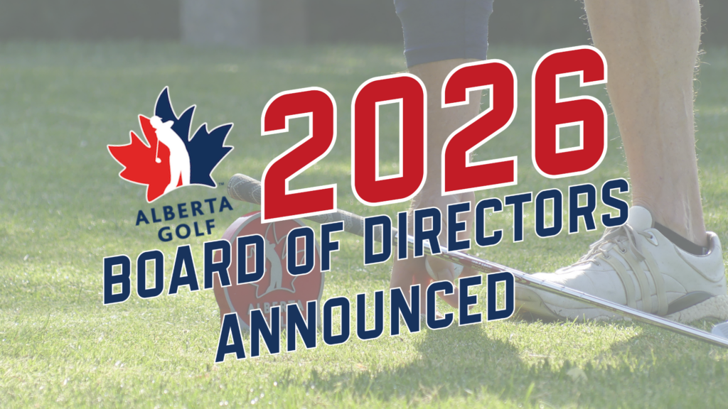 temp alt from theme latest posts