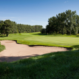 temp alt for theme iandt