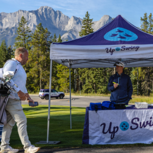 temp alt for theme iandt