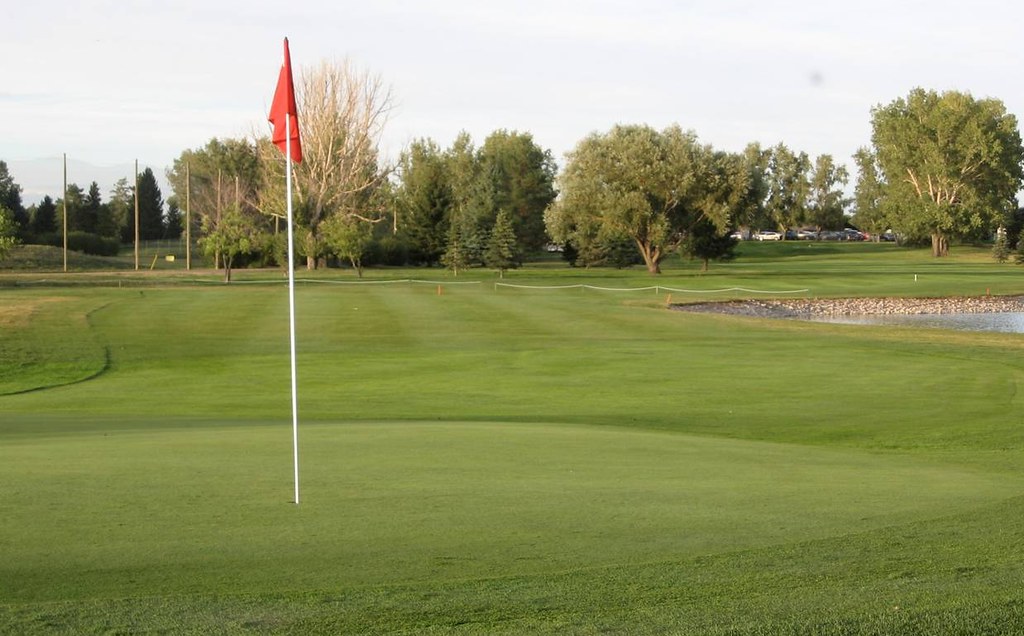 temp alt from theme latest posts