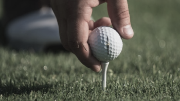 temp alt for theme membership