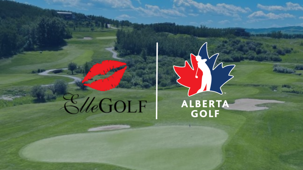 temp alt from theme latest posts