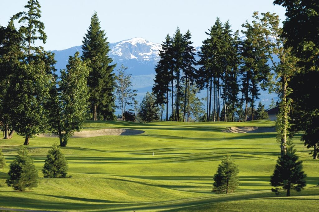 temp alt from theme latest posts